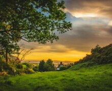 Golden sunset over a grassy countryside Countryside sunset with trees and fields