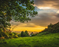 Golden sunset over a grassy countryside Countryside sunset with trees and fields