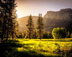 Sunlit meadow with trees and mountains Sunlit meadow with forest and mountains